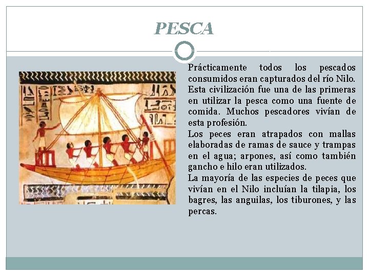 PESCA Prácticamente todos los pescados consumidos eran capturados del río Nilo. Esta civilización fue