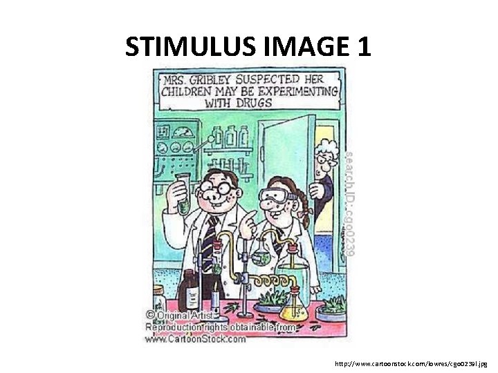 STIMULUS IMAGE 1 http: //www. cartoonstock. com/lowres/cgo 0239 l. jpg 