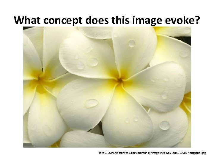 What concept does this image evoke? http: //www. wetcanvas. com/Community/images/19 -Nov-2007/22284 -frangipani. jpg 