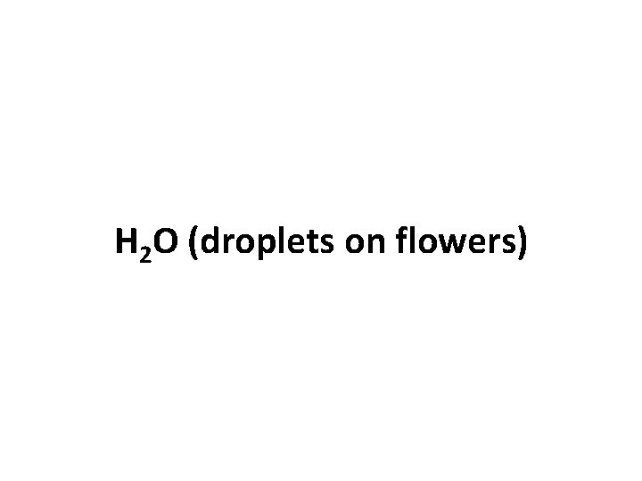 H 2 O (droplets on flowers) 