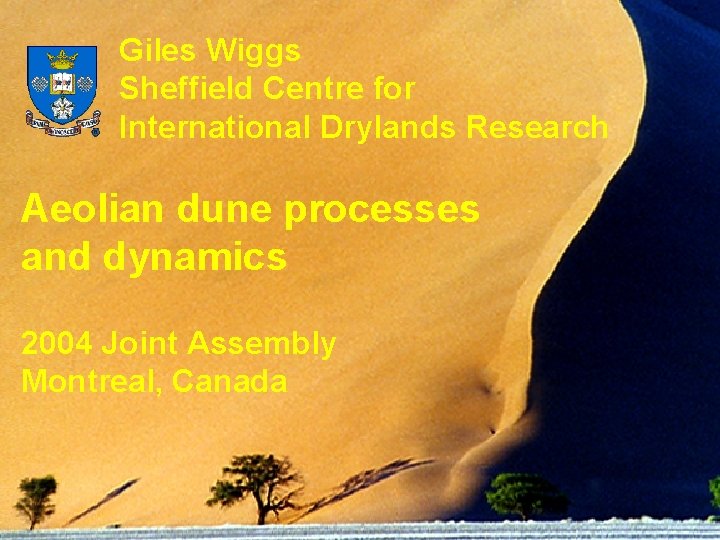 Giles Wiggs Sheffield Centre for International Drylands Research Aeolian dune processes and dynamics 2004