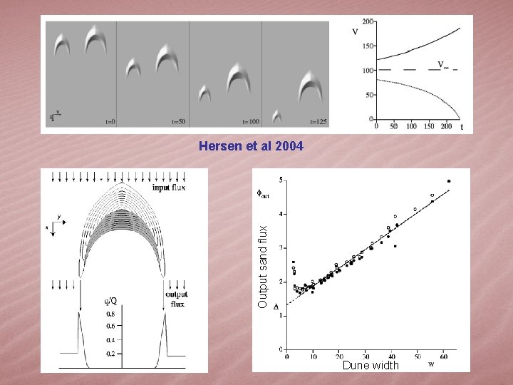 Output sand flux Hersen et al 2004 Dune width 