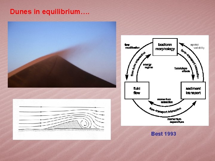 Dunes in equilibrium…. Best 1993 