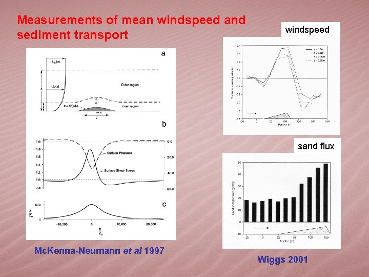 Measurements of mean windspeed and sediment transport windspeed sand flux Mc. Kenna-Neumann et al