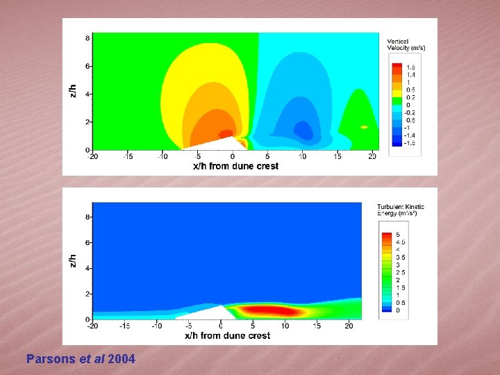 Parsons et al 2004 