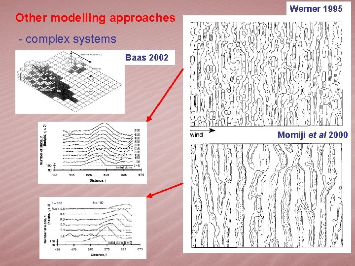 Other modelling approaches Werner 1995 - complex systems Baas 2002 Momiji et al 2000