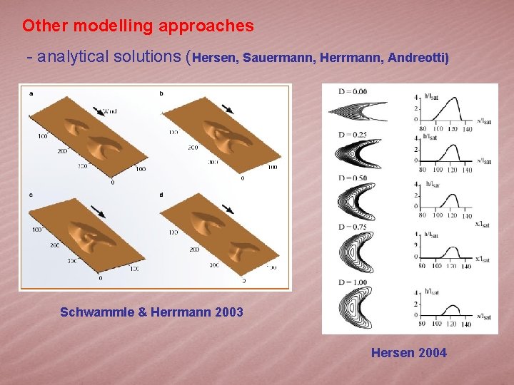 Other modelling approaches - analytical solutions (Hersen, Sauermann, Herrmann, Andreotti) Schwammle & Herrmann 2003