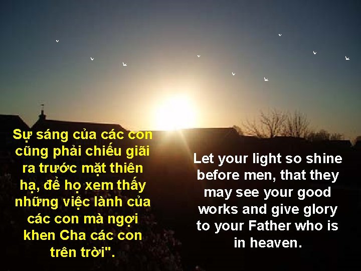 Sự sáng của các con cũng phải chiếu giãi ra trước mặt thiên hạ,
