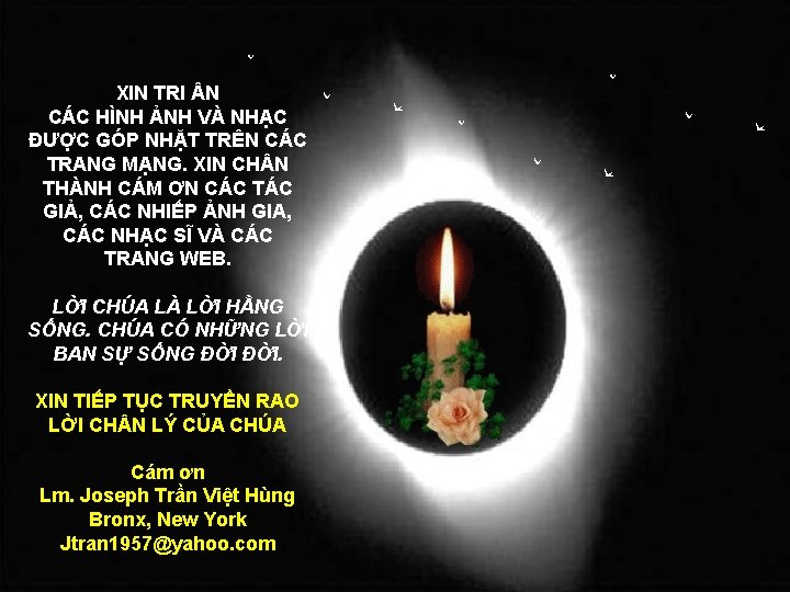 XIN TRI N CÁC HÌNH ẢNH VÀ NHẠC ĐƯỢC GÓP NHẶT TRÊN CÁC TRANG