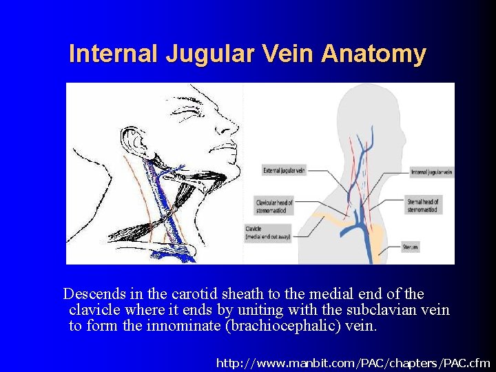 Internal Jugular Vein Anatomy Descends in the carotid sheath to the medial end of