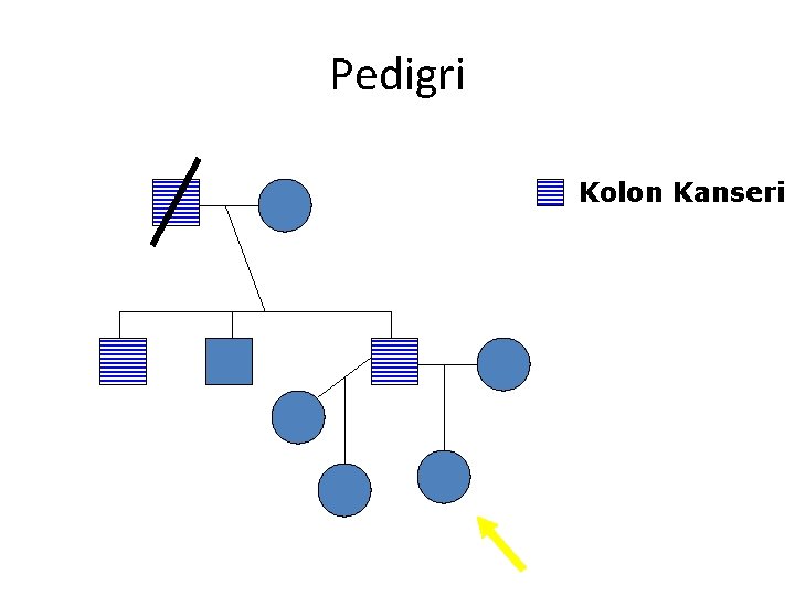 Pedigri Kolon Kanseri 