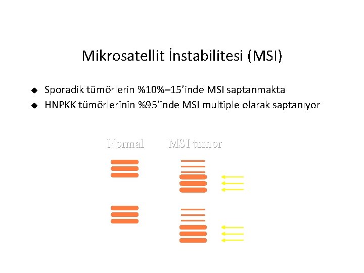 Mikrosatellit İnstabilitesi (MSI) u u Sporadik tümörlerin %10%– 15’inde MSI saptanmakta HNPKK tümörlerinin %95’inde