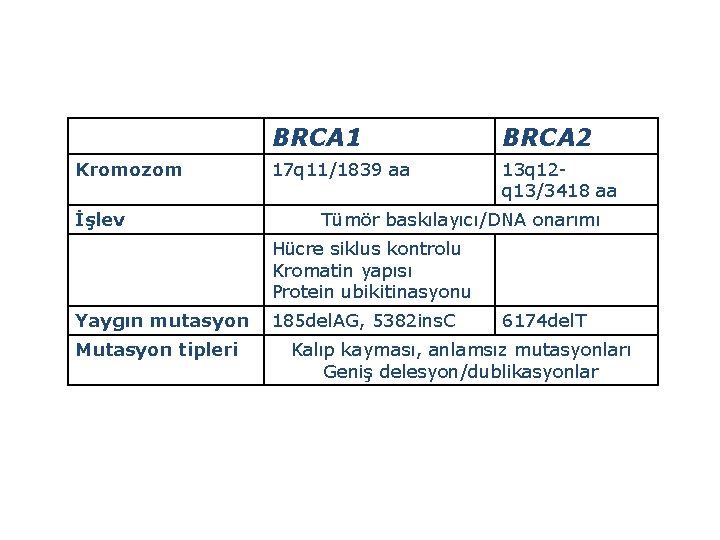 Kromozom İşlev BRCA 1 BRCA 2 17 q 11/1839 aa 13 q 12 q