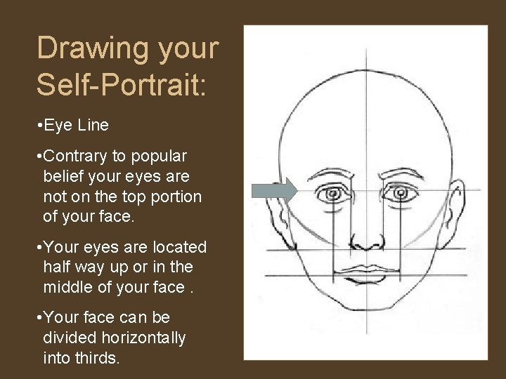 Drawing your Self-Portrait: • Eye Line • Contrary to popular belief your eyes are
