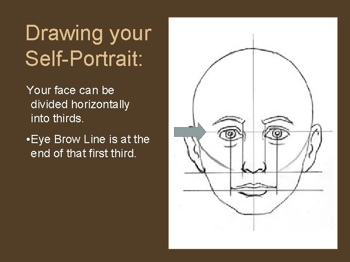 Drawing your Self-Portrait: Your face can be divided horizontally into thirds. • Eye Brow
