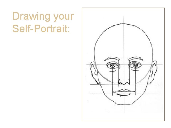 Drawing your Self-Portrait: • Mouth and Proportion • The corners of your lips fall