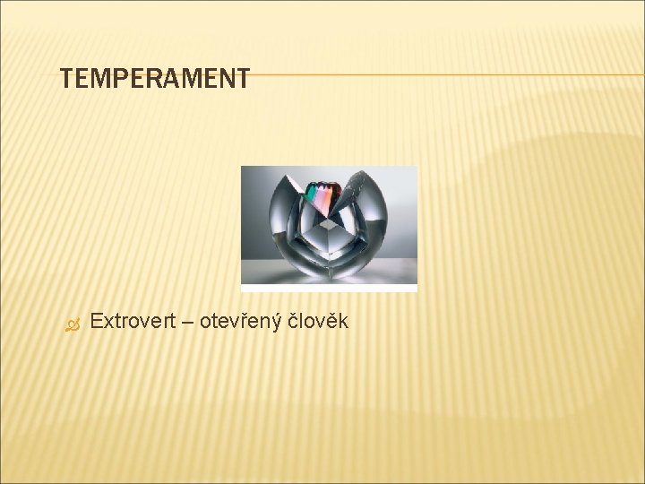 TEMPERAMENT Extrovert – otevřený člověk 