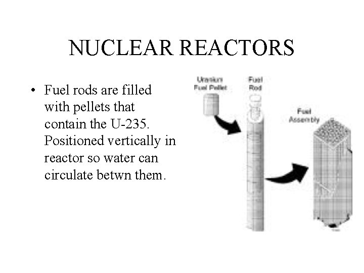 NUCLEAR REACTORS • Fuel rods are filled with pellets that contain the U-235. Positioned