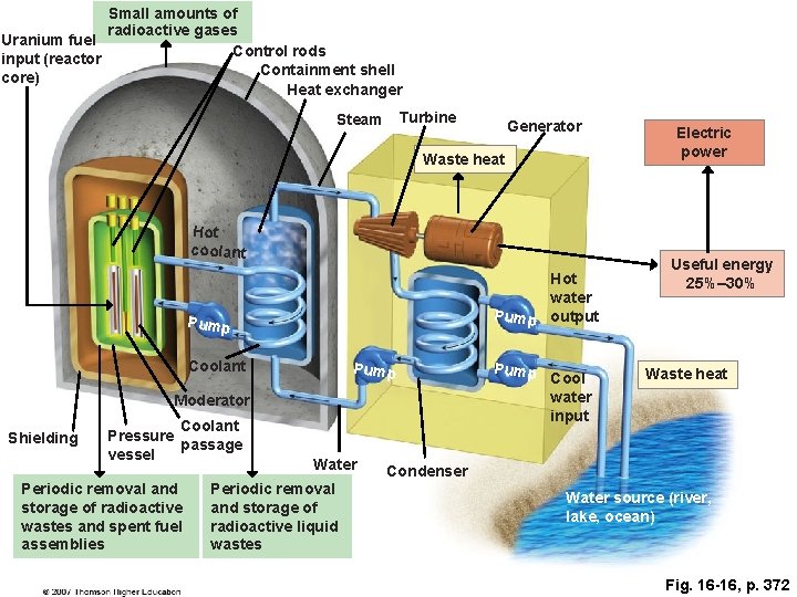 Small amounts of radioactive gases Uranium fuel Control rods input (reactor Containment shell core)