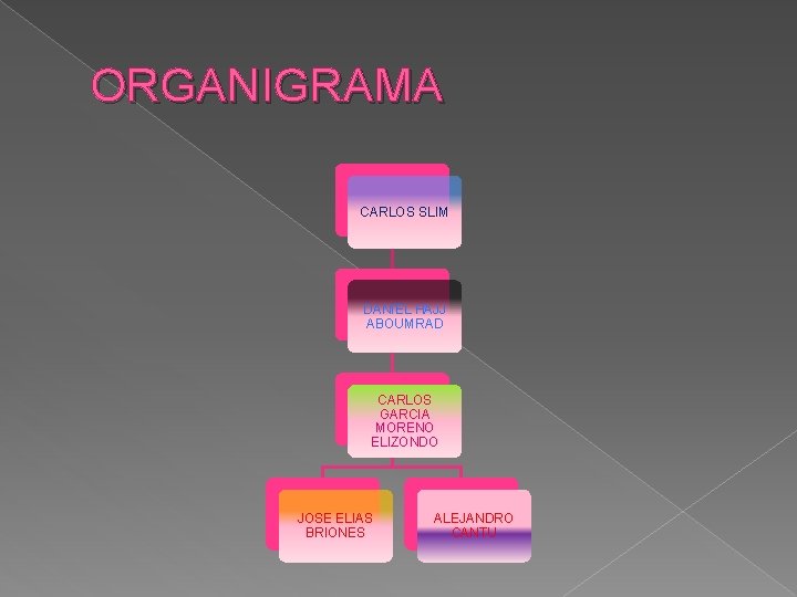 ORGANIGRAMA CARLOS SLIM DANIEL HAJJ ABOUMRAD CARLOS GARCIA MORENO ELIZONDO JOSE ELIAS BRIONES ALEJANDRO