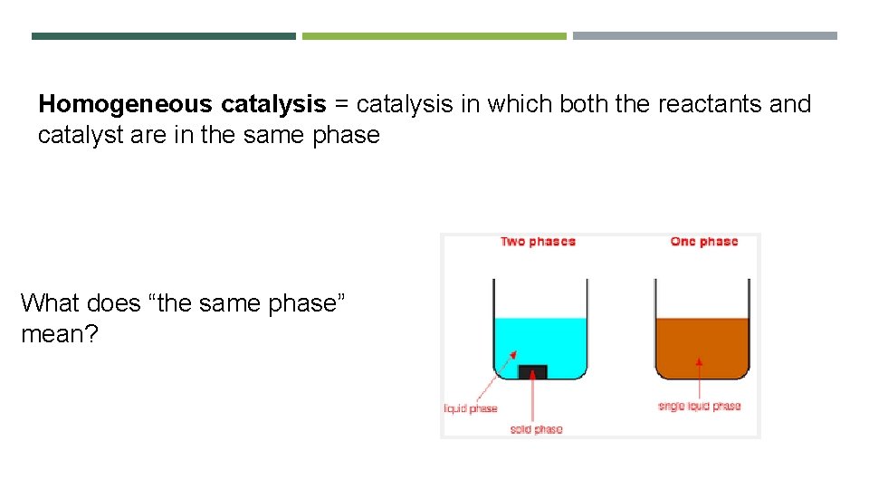 Homogeneous catalysis = catalysis in which both the reactants and catalyst are in the