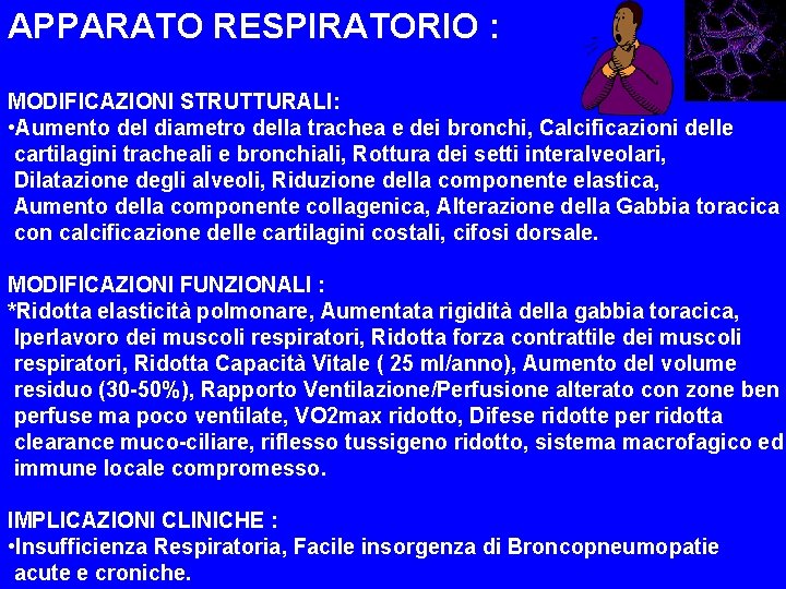 APPARATO RESPIRATORIO : MODIFICAZIONI STRUTTURALI: • Aumento del diametro della trachea e dei bronchi,