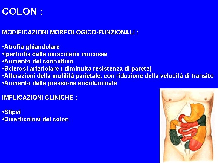 COLON : MODIFICAZIONI MORFOLOGICO-FUNZIONALI : • Atrofia ghiandolare • Ipertrofia della muscolaris mucosae •