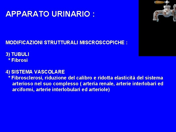 APPARATO URINARIO : MODIFICAZIONI STRUTTURALI MISCROSCOPICHE : 3) TUBULI * Fibrosi 4) SISTEMA VASCOLARE