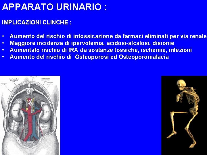 APPARATO URINARIO : IMPLICAZIONI CLINCHE : • • Aumento del rischio di intossicazione da