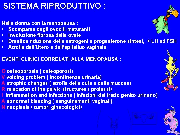 SISTEMA RIPRODUTTIVO : Nella donna con la menopausa : • Scomparsa degli ovociti maturanti