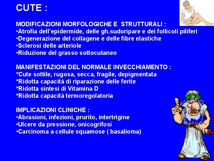 CUTE : MODIFICAZIONI MORFOLOGICHE E STRUTTURALI : • Atrofia dell’epidermide, delle gh. sudoripare e