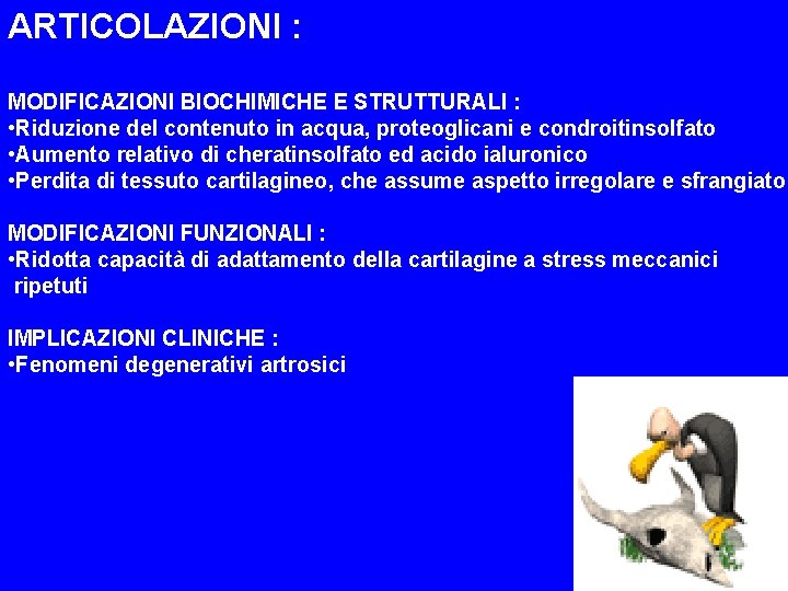 ARTICOLAZIONI : MODIFICAZIONI BIOCHIMICHE E STRUTTURALI : • Riduzione del contenuto in acqua, proteoglicani