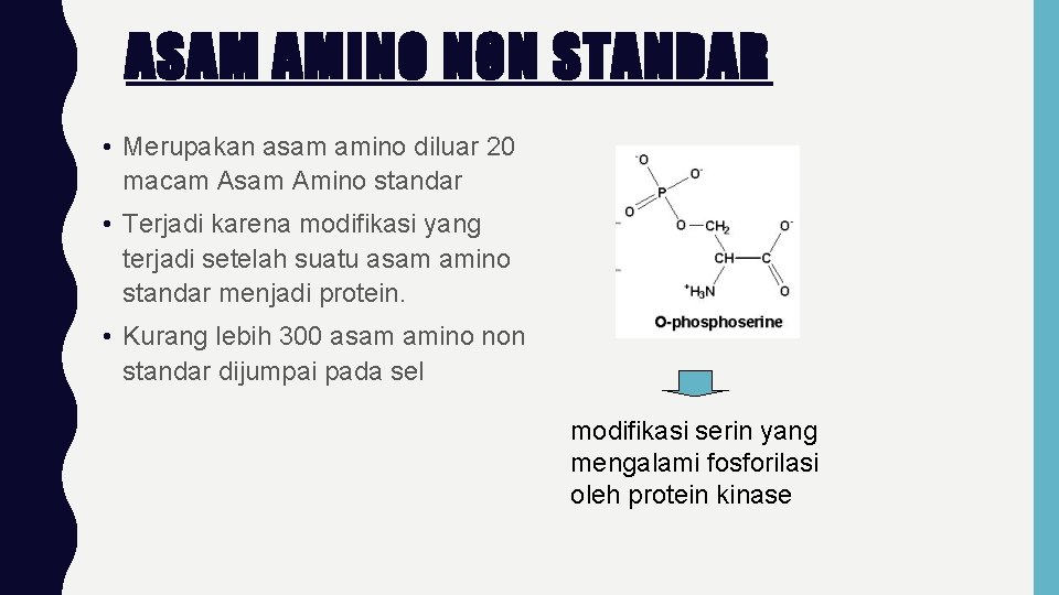 ASAM AMINO NON STANDAR • Merupakan asam amino diluar 20 macam Asam Amino standar