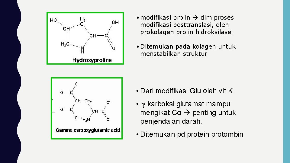  • modifikasi prolin dlm proses modifikasi posttranslasi, oleh prokolagen prolin hidroksilase. • Ditemukan