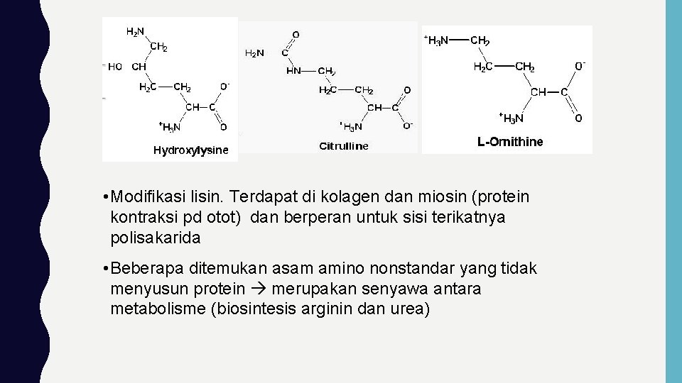  • Modifikasi lisin. Terdapat di kolagen dan miosin (protein kontraksi pd otot) dan