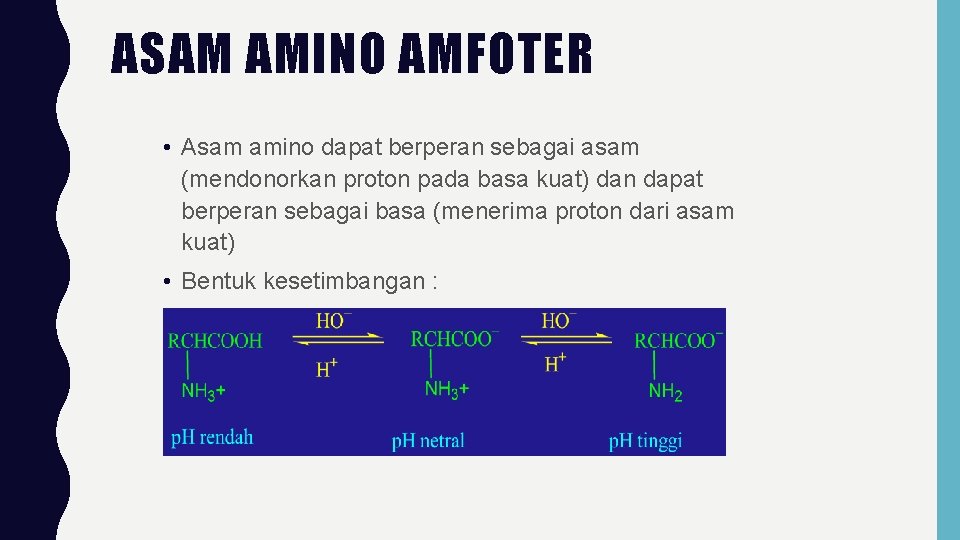 ASAM AMINO AMFOTER • Asam amino dapat berperan sebagai asam (mendonorkan proton pada basa