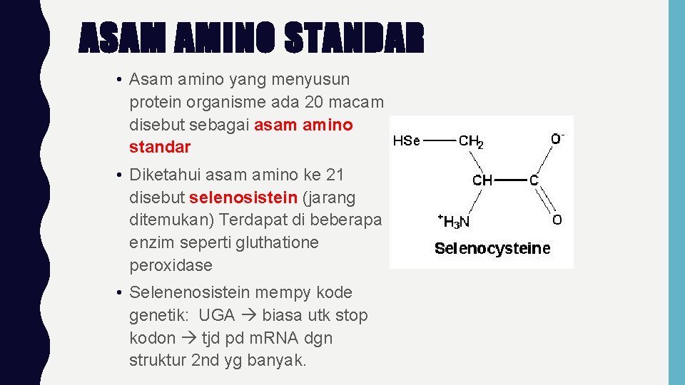 ASAM AMINO STANDAR • Asam amino yang menyusun protein organisme ada 20 macam disebut