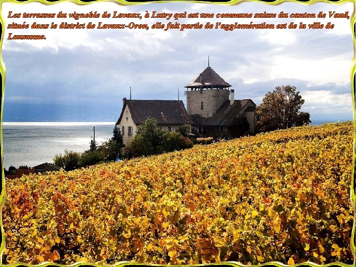 Les terrasses du vignoble de Lavaux, à Lutry qui est une commune suisse du