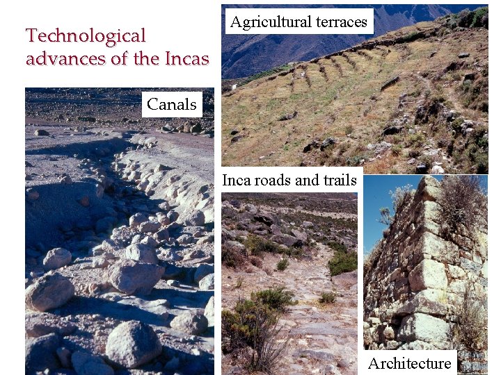 Technological advances of the Incas Agricultural terraces Canals Inca roads and trails Agricultural terraces
