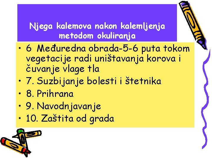 Njega kalemova nakon kalemljenja metodom okuliranja • 6. Međuredna obrada-5 -6 puta tokom vegetacije