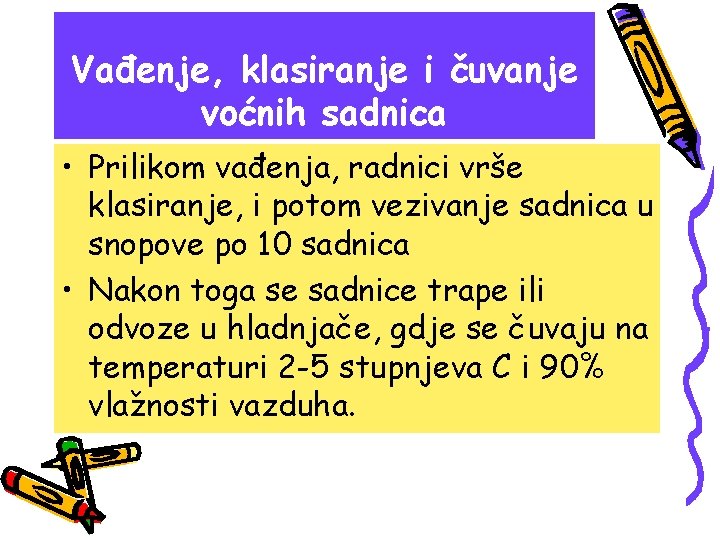 Vađenje, klasiranje i čuvanje voćnih sadnica • Prilikom vađenja, radnici vrše klasiranje, i potom