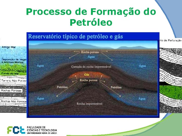 Processo de Formação do Petróleo 