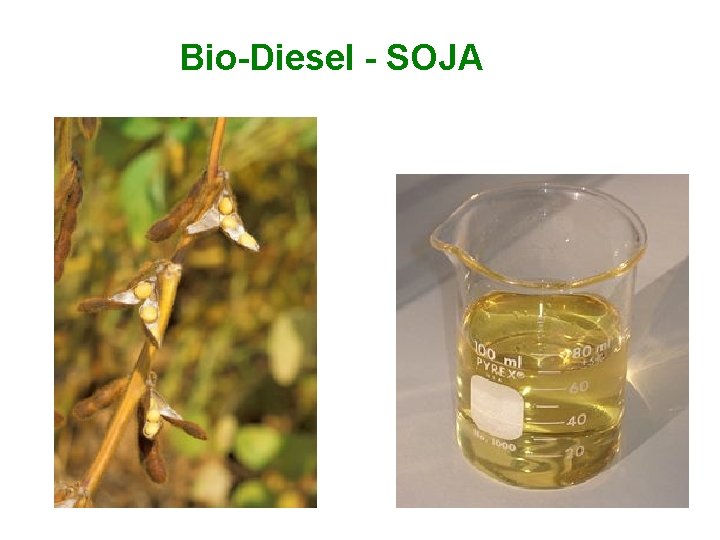 Bio-Diesel - SOJA 
