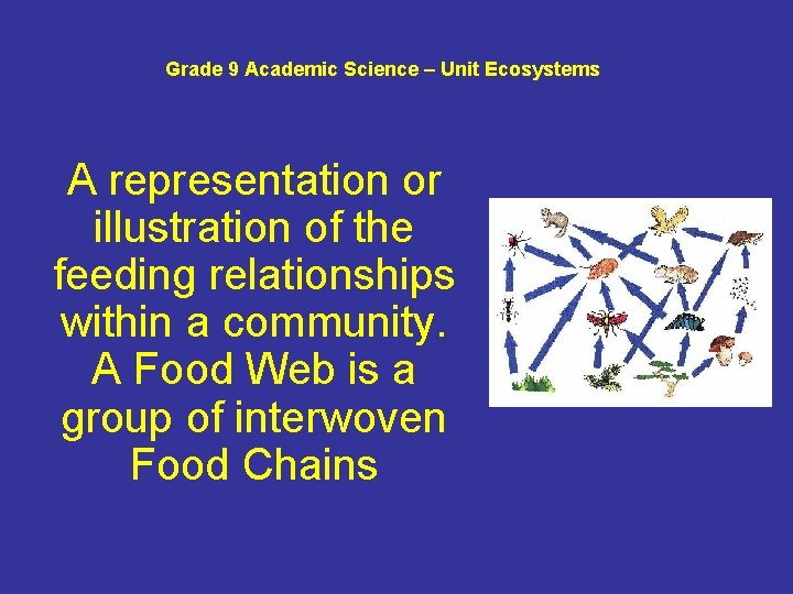 Grade 9 Academic Science – Unit Ecosystems A representation or illustration of the feeding