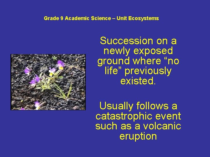 Grade 9 Academic Science – Unit Ecosystems Succession on a newly exposed ground where