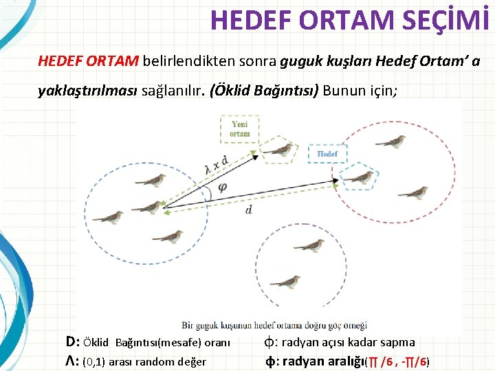HEDEF ORTAM SEÇİMİ HEDEF ORTAM belirlendikten sonra guguk kuşları Hedef Ortam’ a yaklaştırılması sağlanılır.