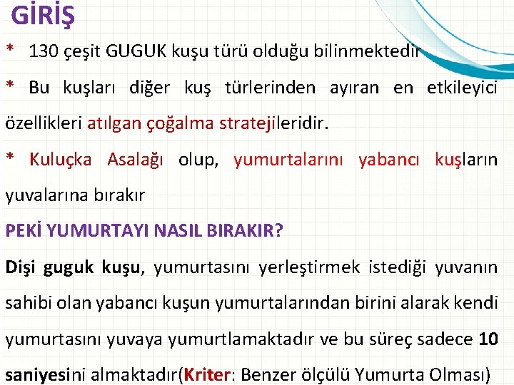 GİRİŞ * 130 çeşit GUGUK kuşu türü olduğu bilinmektedir * Bu kuşları diğer kuş