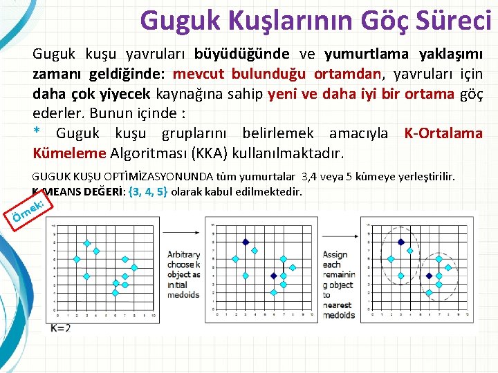 Guguk Kuşlarının Göç Süreci Guguk kuşu yavruları büyüdüğünde ve yumurtlama yaklaşımı zamanı geldiğinde: mevcut