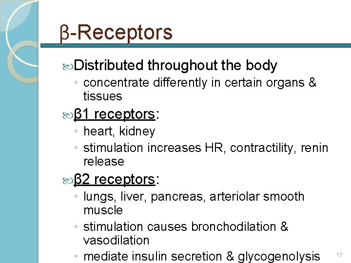 β-Receptors Distributed throughout the body ◦ concentrate differently in certain organs & tissues β