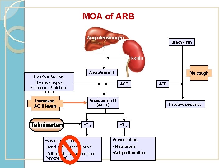 MOA of ARB Angiotensinogen Bradykinin Renin Non ACE Pathway Angiotensin I Chymase Trypsin Cathepsin,